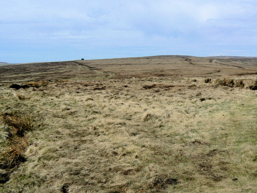 Brown Knoll Brown Knoll